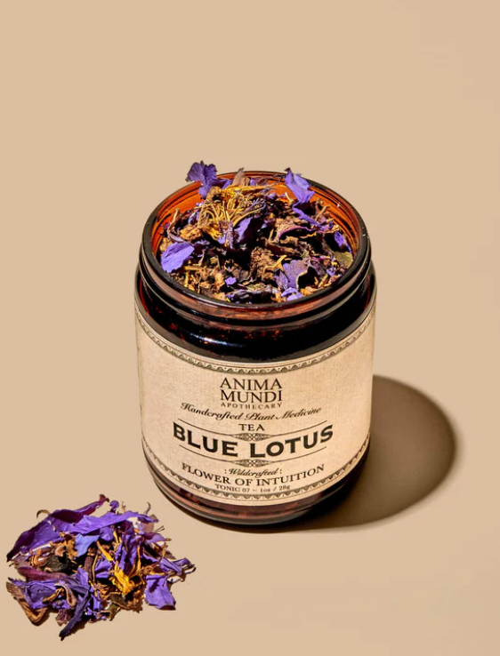 Anima Mundi Blue Lotus Flower Infusion Tea. Blue Lotus Tea Dream Herb: A serene blend for relaxation, featuring pure Blue Lotus petals for tranquil moments.