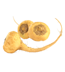 Apothekary - Maca Root - Adaptogen for Adrenal Protection + Boosted Mood
